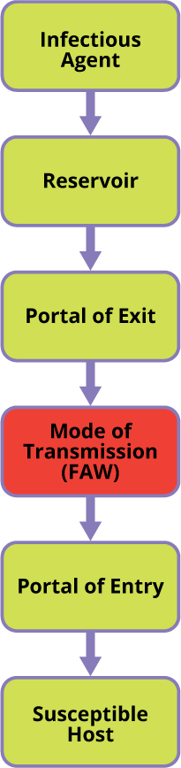 Forced-Air Warming Chain of Infection